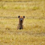 Image_20230805080824