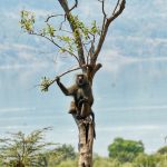 Image_20230805081009