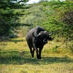 Image_20230805081024