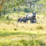 Image_20230805081048