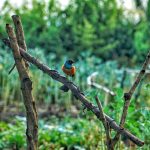 Image_20230805081505