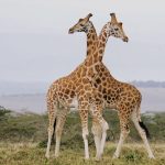 Image_20230805081528