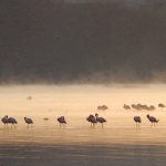 IMG-20260908-WA0005